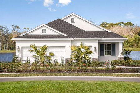 New construction Single-Family house 10108 Hammock Brook Drive, Parrish, FL 34219 - photo 0