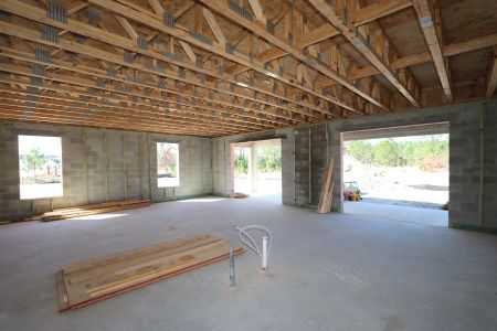 New construction Single-Family house 1925 Drummond Pt, Zephyrhills, FL 33541 Grandshore II- photo 7 7