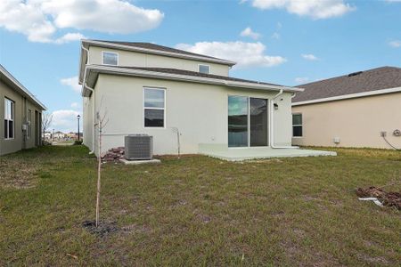 New construction Single-Family house 6973 Wilson Pasture Ave, Groveland, FL 34736 null- photo 27 27