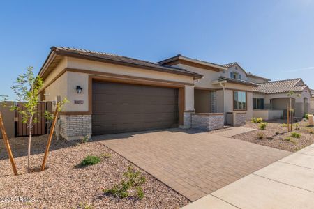 New construction Single-Family house 43513 N Wollemi St, Queen Creek, AZ 85140 plan Plan 4501 - image