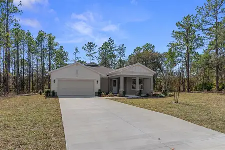 New construction Single-Family house 3618 W Birds Nest Dr, Beverly Hills, FL 34465 - image