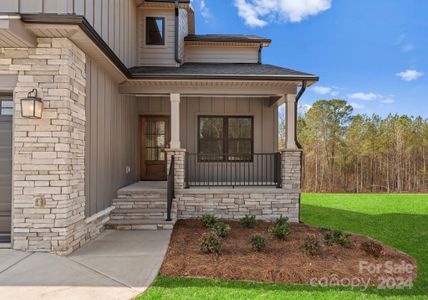 New construction Single-Family house 171 Heartland Drive, Unit 7, Rock Hill, SC 29732 - photo 3 3