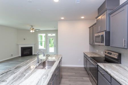 New construction Single-Family house 25 Cloudberry Ct, Clayton, NC 27520 - image 15