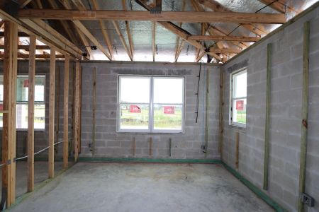 New construction Single-Family house 31236 Denham Ridge Ln, Wesley Chapel, FL 33545 Santa Monica- photo 29 29