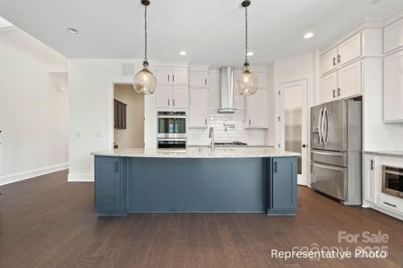 New construction Single-Family house 332 Triple Ponds Ct, Unit 22, Clover, SC 29710 - image 8