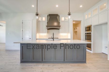 New construction Single-Family house 9312 Wood Duck Dr, Justin, TX 76247 plan The San Antonio - image 6