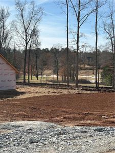 New construction Single-Family house 5000 Fairview Cir, Villa Rica, GA 30180 3629- photo 5 5