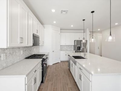 New construction Single-Family house 419 W Rock Needle Trl, Apache Junction, AZ 85120 plan Arlo - image