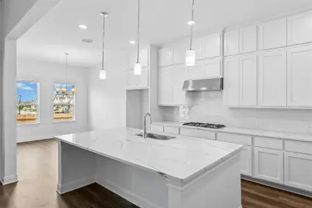 New construction Single-Family house 17205 Hope Bergman Dr, Pflugerville, TX 78660 - image 7