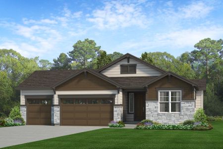 New construction Single-Family house 1751 Zeno St, Brighton, CO 80601 plan Lakewood II - image
