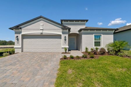 New construction Single-Family house 2925 Berry Coppice Pl, Wimauma, FL 33598 plan Maui - image