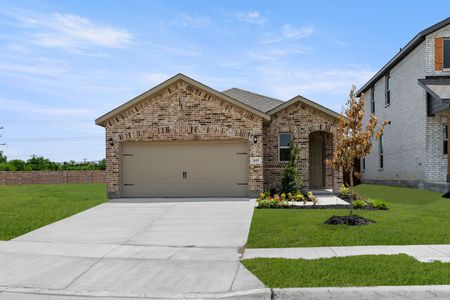 New construction Single-Family house 3695 Desperado Wy, Anna, TX 75409 plan Cottonwood - image