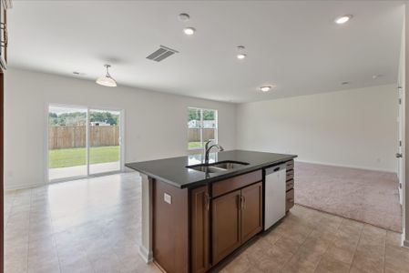 New construction Single-Family house 353 Blue Oak Dr, Moncks Corner, SC 29461 plan Ellerbe - image