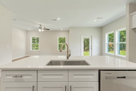 New construction Single-Family house Defuniak Springs, FL 32433 plan Elizabeth - image 11