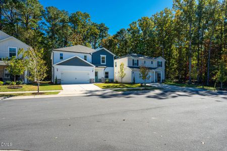 New construction Single-Family house 1113 Umstead Grv Wy, Durham, NC 27712 - image