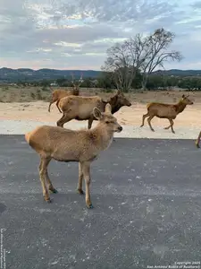 New construction Single-Family house 56 W Red Stage, Bandera, TX 78063 - image