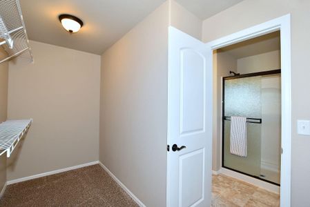 New construction Single-Family house 437 Vivid Ln , Evans, CO 80634 - photo 43 43