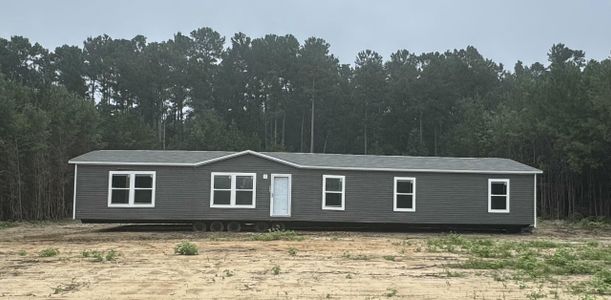 New construction Mobile Home house 852 Devine Wy, Cross, SC 29436 - image