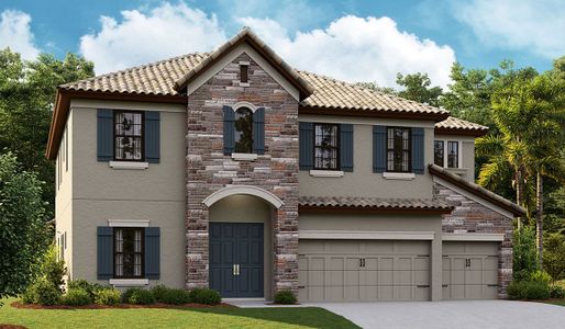 New construction Single-Family house 10347 Surrey Rose Drive, San Antonio, FL 33576 - photo 0