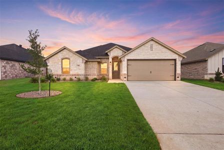New construction Single-Family house 1366 Oleander Dr, Tolar, TX 76476 - image