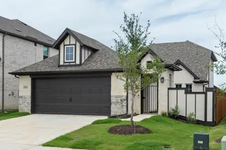 New construction Single-Family house 920 Lost Mine Trl, Little Elm, TX 75068 plan Majestic - image
