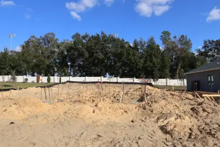 New construction Single-Family house 3270 Wolf Lake Ave, Apopka, FL 32712 plan Brookhaven Fl - image