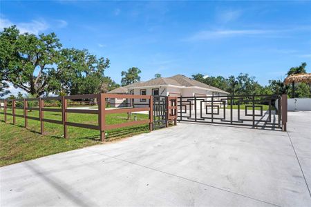 New construction Single-Family house 14060 Sydney Rd, Dover, FL 33527 - image