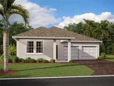 New construction Single-Family house 30173 Emerald Forest Dr, Mount Dora, FL 32757 - image