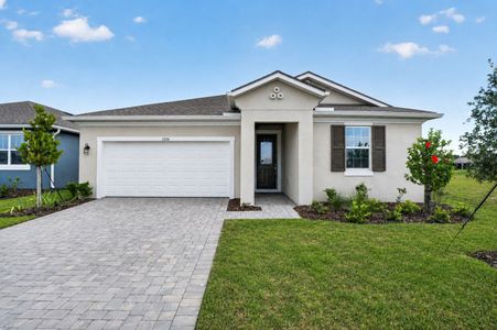 New construction Single-Family house 13116 Oxeye Ln, Parrish, FL 34219 plan Terra Rosa II - image