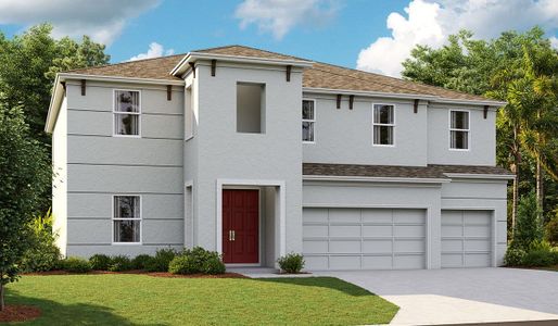 New construction Single-Family house 5379 Wolf Creek Dr, Apollo Beach, FL 33572 null- photo 4 4