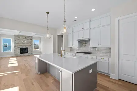 New construction Single-Family house 1264 Sage Pine Cir, Clover, SC 29710 plan Bethpage - image 11