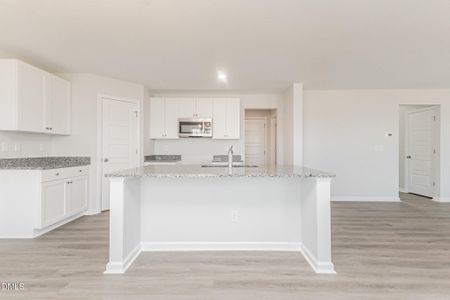 New construction Single-Family house 77 Littlefield Ln, La Grange, NC 28551 - image 10