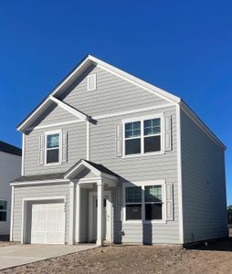 New construction Single-Family house 3040 Dalmore Drive, Ravenel, SC 29470 Brandon- photo 0