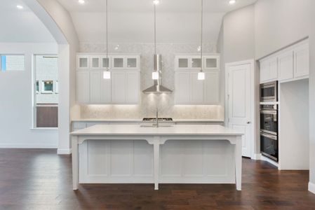 New construction Single-Family house 2036 Grey Birch Pl, Aledo, TX 76008 plan 217 - image 7