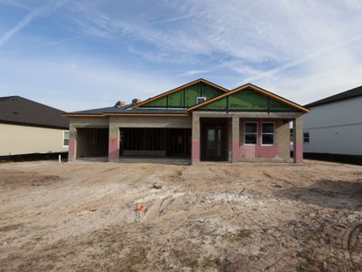 New construction Single-Family house 31170 Hayman Lp, Wesley Chapel, FL 33545 plan Corina  III - image