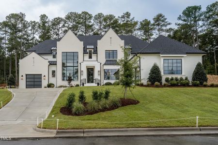 New construction Single-Family house New Hill, NC 27562 - photo 0