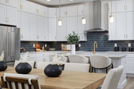 Villa Collection by Thrive Home Builders in Fort Collins - image 15