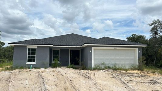 New construction Single-Family house 1219 Alafia Way, Kissimmee, FL 34759 null- photo 0 0