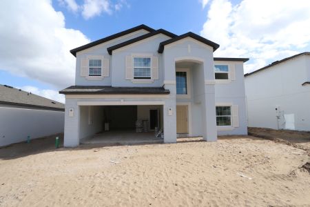 New construction Single-Family house 12176 Hilltop Farms Dr, Dade City, FL 33525 Malibu- photo 84 84