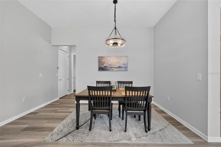New construction Single-Family house 8644 Sw 59Th Lane Rd, Ocala, FL 34481 - image 16