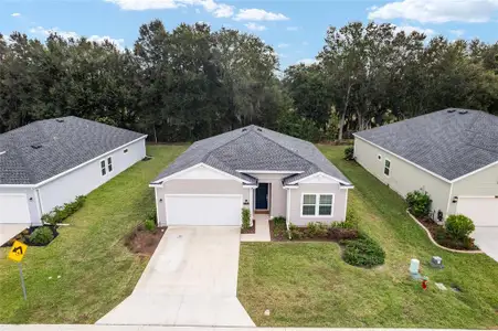 New construction Single-Family house 7755 Sw 74Th Loop, Ocala, FL 34481 plan Elan - image