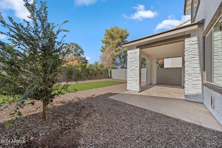 New construction Single-Family house 550 W Copper Wy, Chandler, AZ 85225 null- photo 12 12