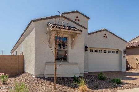 New construction Single-Family house 7639 W Nosean Rd, Peoria, AZ 85383 Iris- photo 42 42