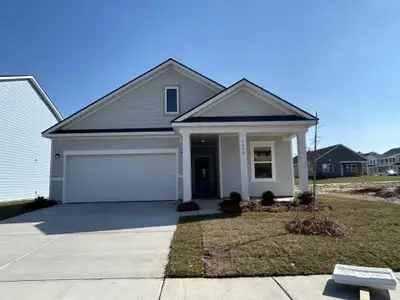 New construction Single-Family house 3060 Macaron Ct, Ravenel, SC 29470 - image
