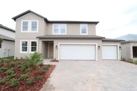 New construction Single-Family house 20050 Oriana Loop, Land O' Lakes, FL 34638 Santa Monica- photo 105 105