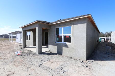 New construction Single-Family house 3150 Adams Cross Dr, Zephyrhills, FL 33540 Miranda- photo 52 52