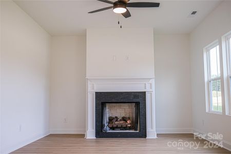 New construction Single-Family house 3065 Swallowtail Ln, Kannapolis, NC 28083 Everett- photo 3 3