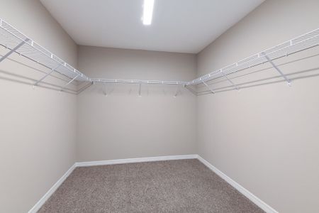 New construction Single-Family house 5512 Taverna Lp, Winter Haven, FL 33884 plan Catalina - image 16