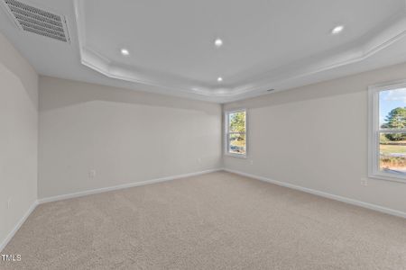 New construction Single-Family house 36 Railcar Wy, Clayton, NC 27520 plan The Holly - image 13