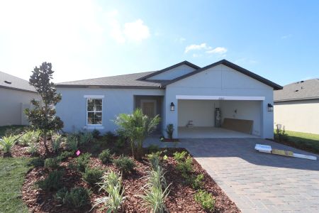 New construction Single-Family house 12263 Hilltop Farms Dr, Dade City, FL 33525 Sentinel- photo 78 78